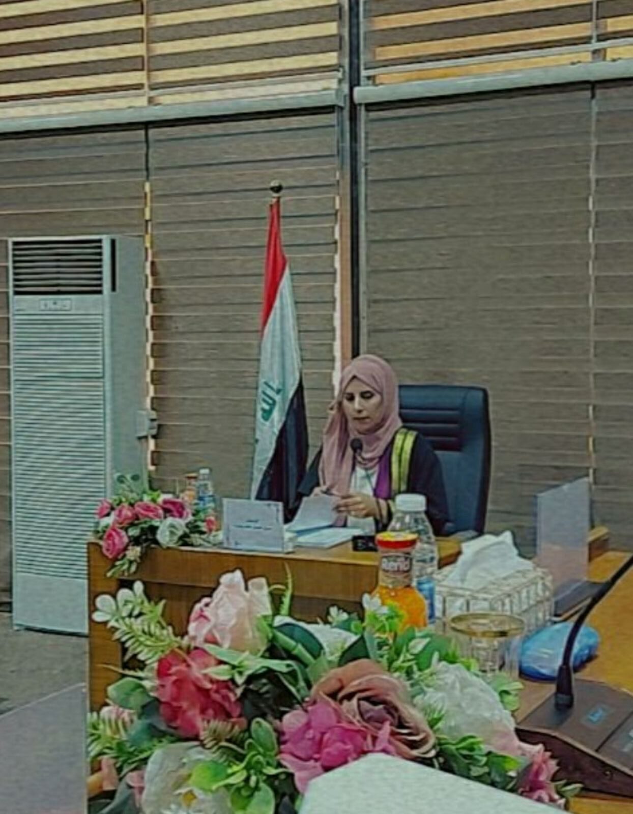 حنين خضير